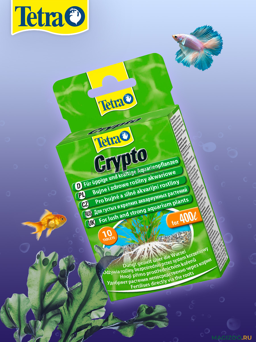 Удобрение для водных растений TETRA CRYPTO для правильного формирования  корневой системы уп.10 таблеток (1 шт) купить в интернет-магазине по цене  от 525 ₽, доставка по Москве