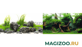 Аквариумный фон плотный двухсторонний Barbus Зеленый рай/Воды Амазонки 60 см/124 см Background 042 (1 шт)