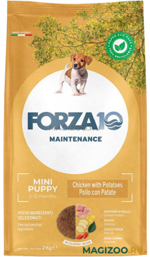 Сухой корм FORZA10 DOG MAINTENANCE PUPPY JUNIOR SMALL/MEDIUM для щенков маленьких и средних пород с курицей и картофелем (2 кг)