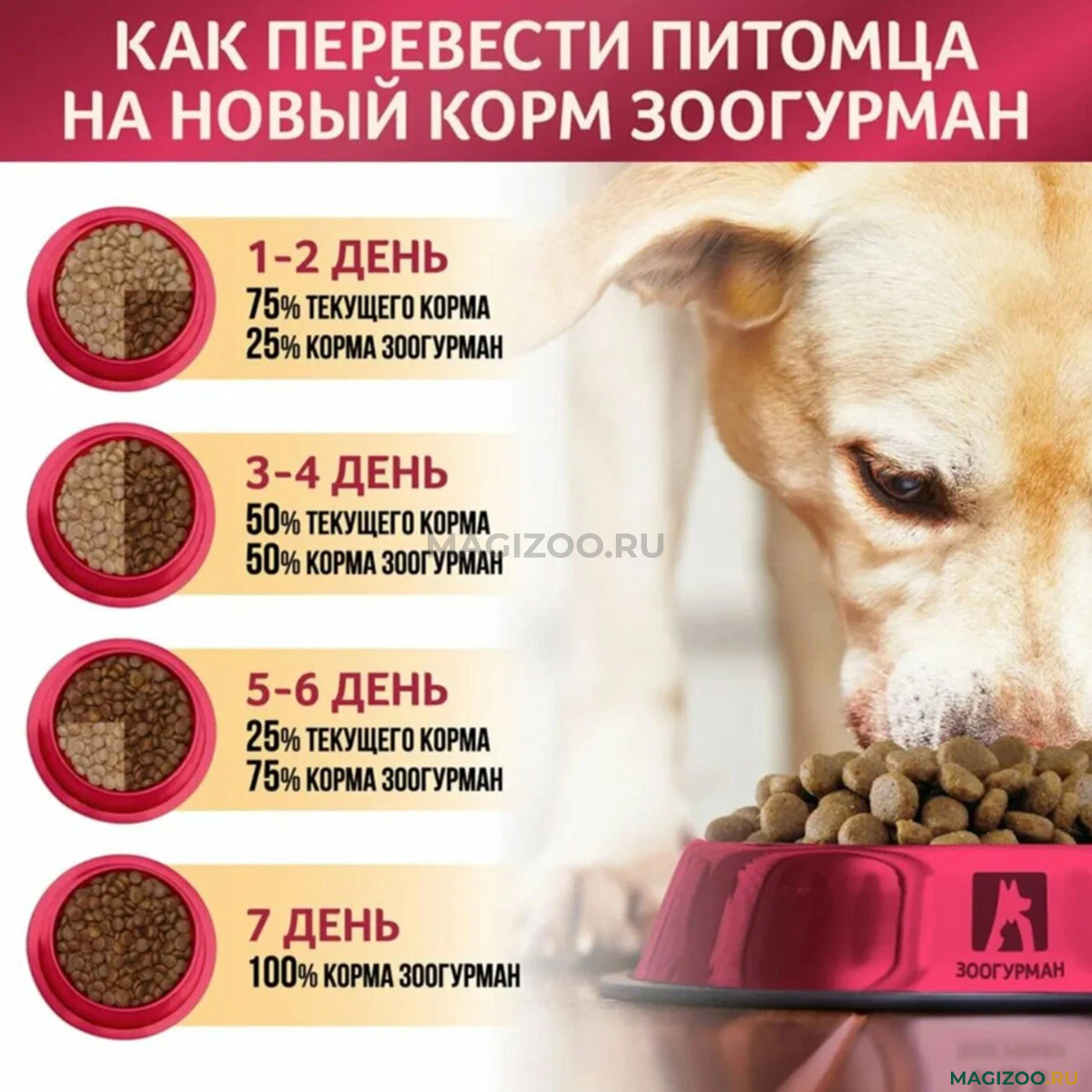 Сухой корм ZOOGURMAN ACTIVE LIFE для активных взрослых собак средних и  крупных пород с индейкой (12 кг) купить в Москве, цена от 4 746 ₽, доставка  из интернет-магазина