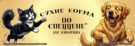 Сухие корма по СПЕЦЦЕНЕ!