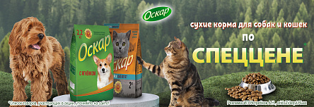 ОСКАР по СПЕЦЦЕНЕ!