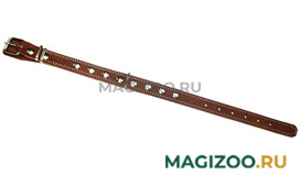 Ошейник для собак кожаный коньячный 54 - 68 см x 25 мм Аркон (1 шт) 
