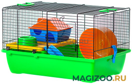 Клетка для грызунов Inter-Zoo G034 Gino Colour + Plastic с пластиковыми цветными аксессуарами цвет в ассортименте 42 х 29 х 26 см (1 шт)