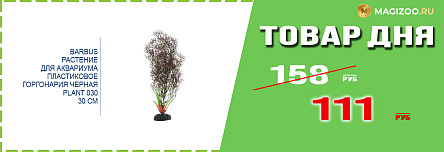 Декорация BARBUS для аквариума!