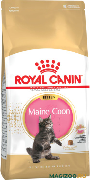 Сухой корм ROYAL CANIN MAINE COON KITTEN 36 для котят мэйн кун (4 кг УЦ)