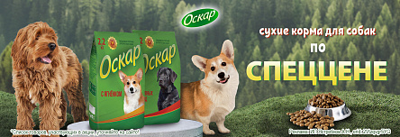 ОСКАР по СПЕЦЦЕНЕ!