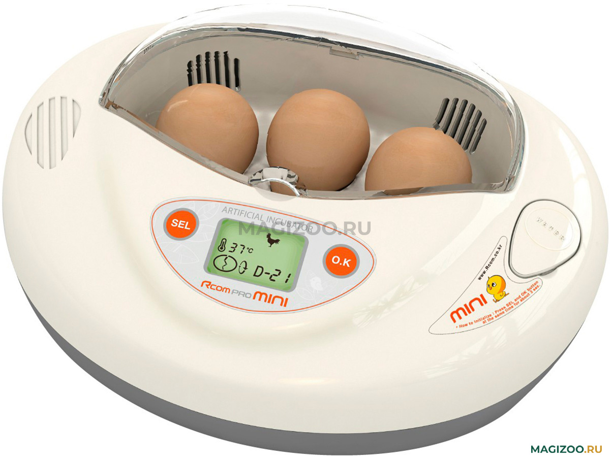 Инкубатор для яиц производитель. Инкубатор RCOM Mini Pro. Инкубатор RCOM 50 Max. Инкубатор RCOM px-3 Mini белый. Инкубатор для яиц RCOM.