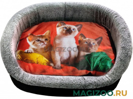 Лежак для кошек PerseiLine Rich Breed Дизайн № 3 принт 2 овальный 44 х 33 х 16 см  (1 шт)