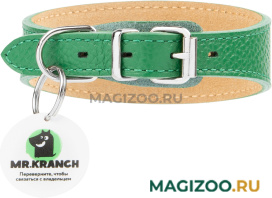 Ошейник селедка кожаный для собак Mr.Kranch с QR-адресником зеленый 29 – 35 см (1 шт)