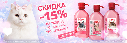 Шампуни MS.KISS со скидкой 15%!