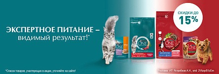 Рационы PURINA ONE со скидкой до 15%!
