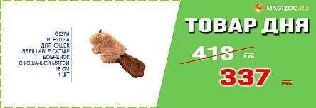 Игрушка GIGWI для кошек!