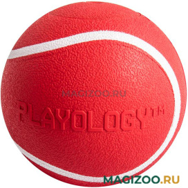 Игрушка для собак Playology Squeaky Chew Ball мяч хрустящий с пищалкой с ароматом говядины красный 6 см (1 шт)