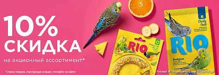 Корма и лакомства RIO со скидкой 10%!