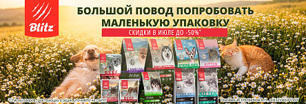 Рационы BLITZ со скидкой до 50%!