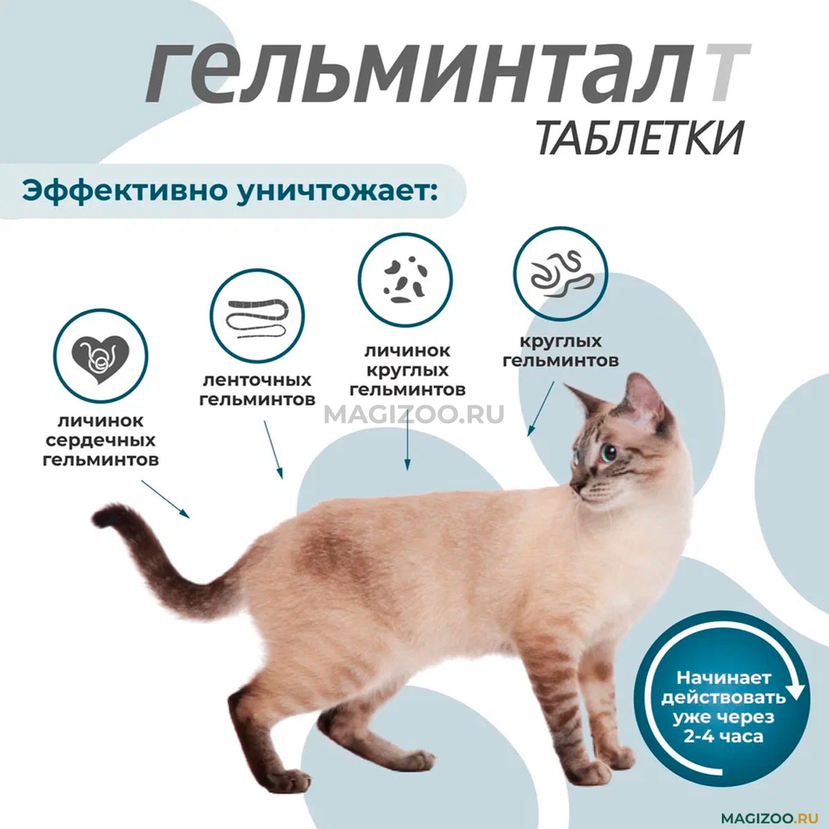 ГЕЛЬМИНТАЛ Т антигельминтик для котят и взрослых кошек весом до 4 кг уп. 2  таблетки (1 уп) купить в интернет-магазине по цене от 282 ₽, доставка по  Москве