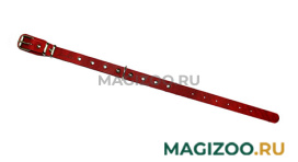 Ошейник для собак кожаный красный 32 - 44 см x 20 мм Аркон о20кр (1 шт)
