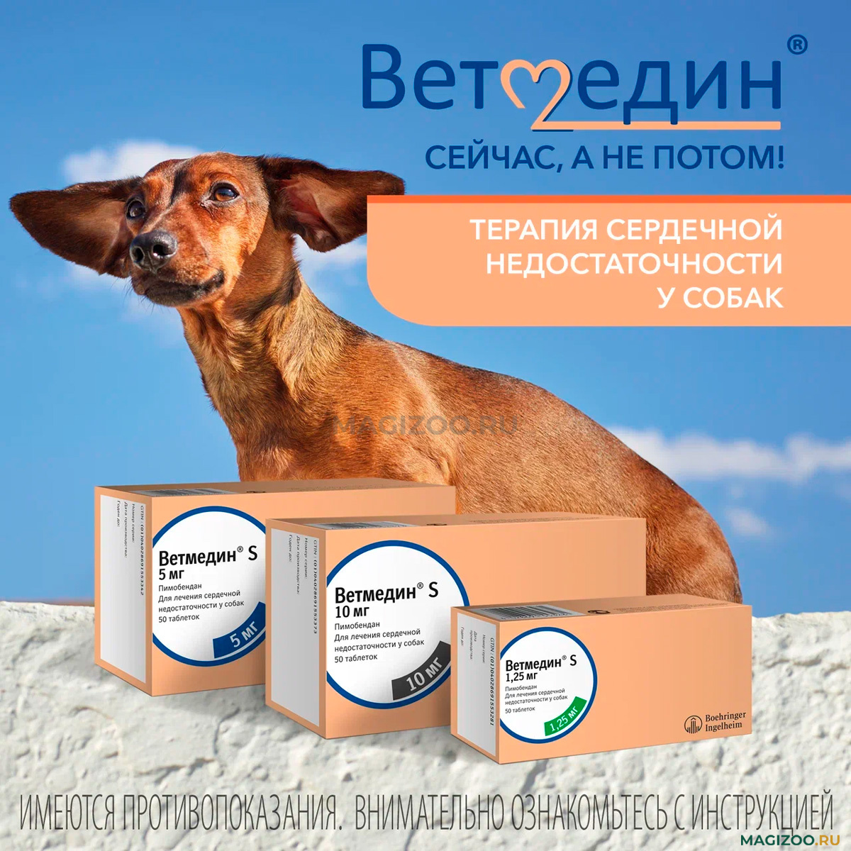 Купить Ветмедин 10 мг, цена таблеток Vetmedin в интернет-магазине в Москве