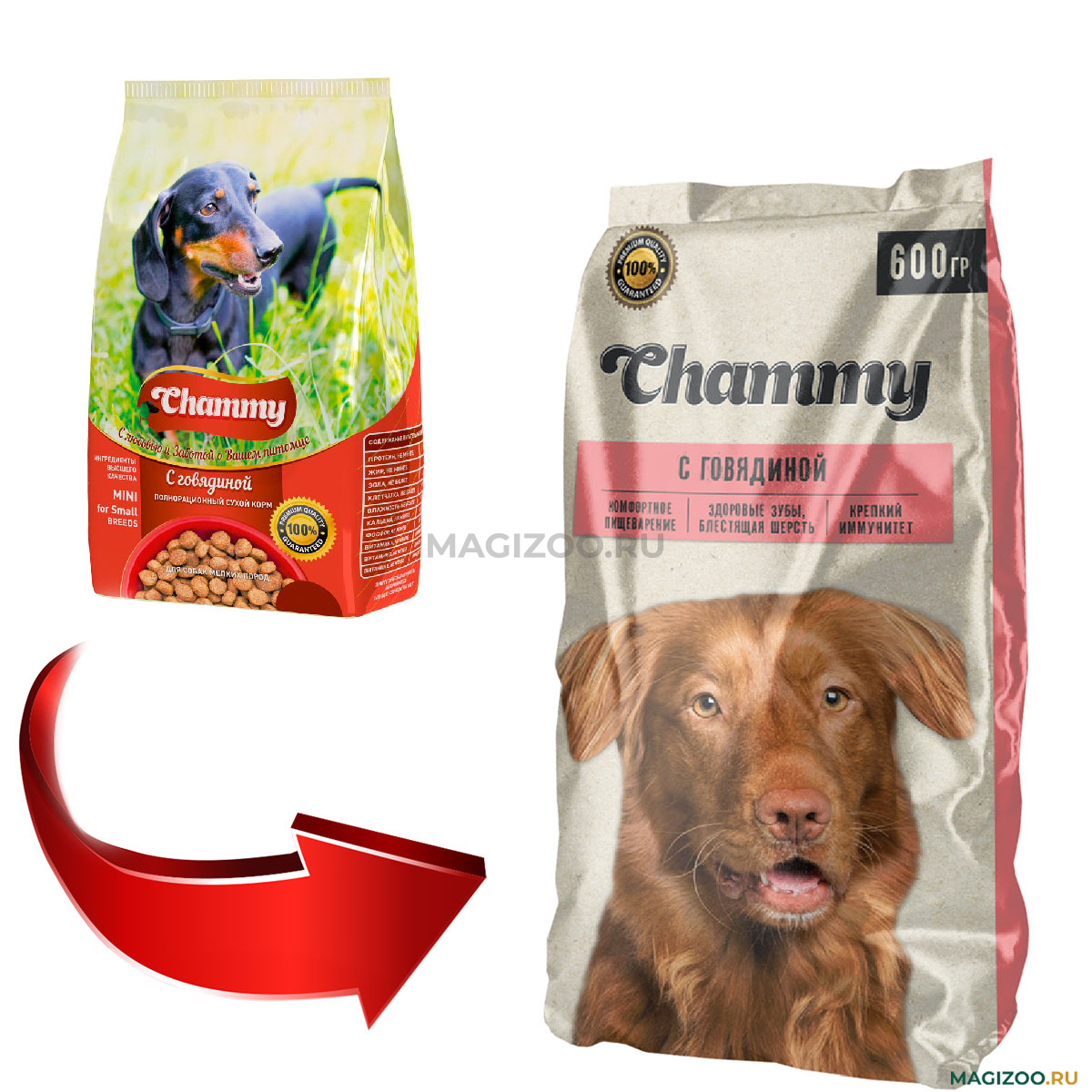 Сухой корм CHAMMY для взрослых собак маленьких пород с говядиной (0,6 кг) —  купить за , быстрая доставка из интернет-магазина по Москве