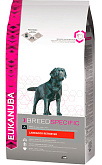 EUKANUBA LABRADOR RETRIEVER для взрослых собак лабрадор ретривер (10 кг)