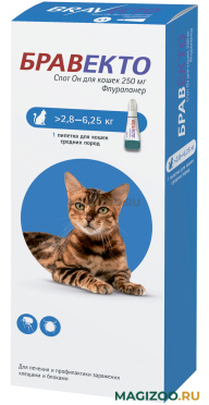 БРАВЕКТО СПОТ ОН капли для кошек весом от 2,8 до 6,25 кг против клещей и блох (1 пипетка)