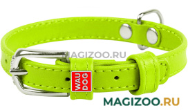 Ошейник кожаный для собак без украшений зеленый 12 мм 21 – 29 см Collar WauDog Glamour (1 шт)