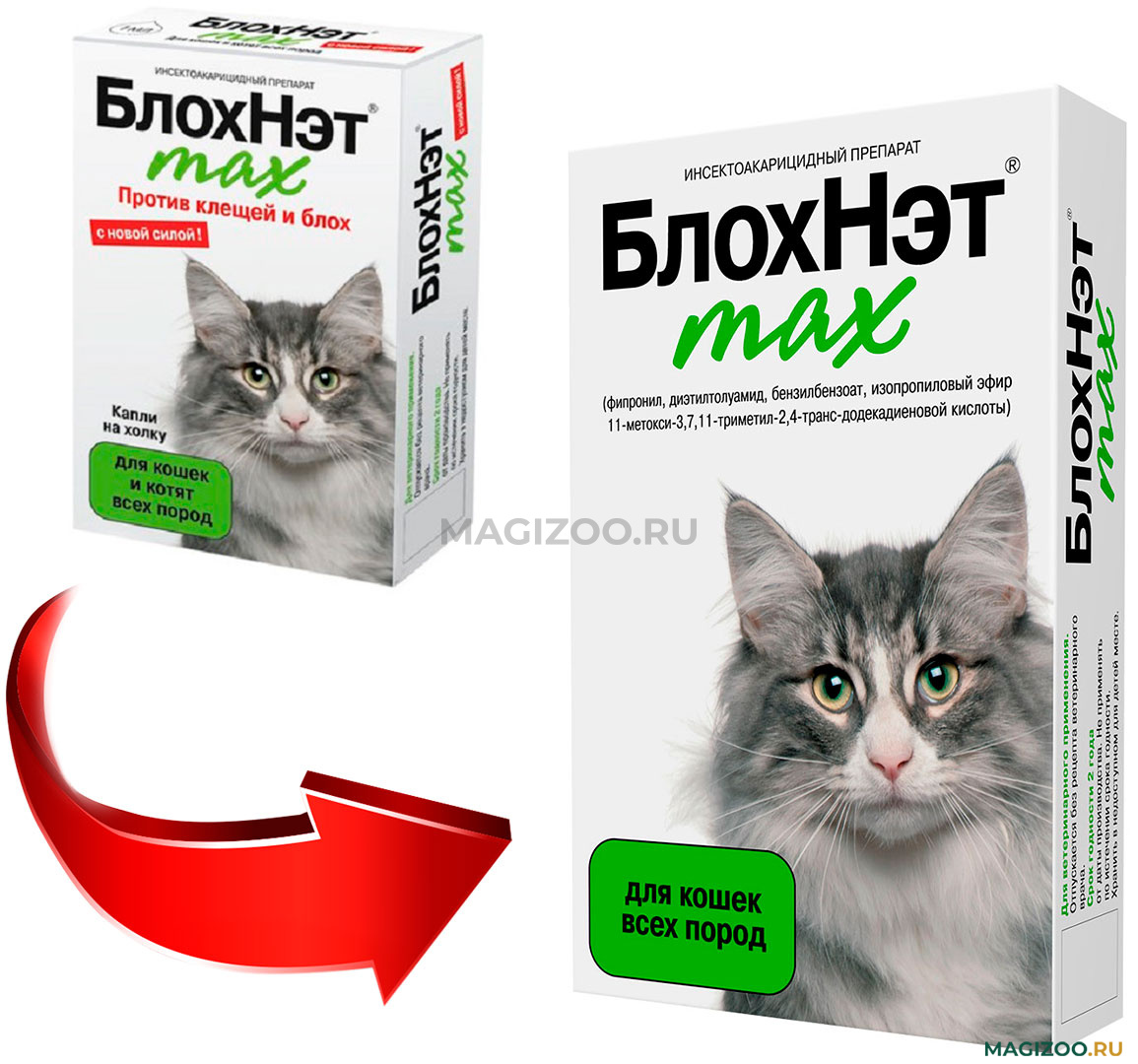 БЛОХНЭТ MAX – капли для взрослых кошек и котят против клещей и блох  Астрафарм (1 мл) купить в интернет-магазине по цене от 155 ₽, доставка по  Москве