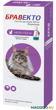 БРАВЕКТО СПОТ ОН капли для кошек весом от 6,25 до 12,5 кг против клещей и блох (1 пипетка)