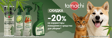 TAMACHI со скидкой 20%!