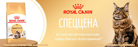 Сухой корм ROYAL CANIN по СПЕЦЦЕНЕ!