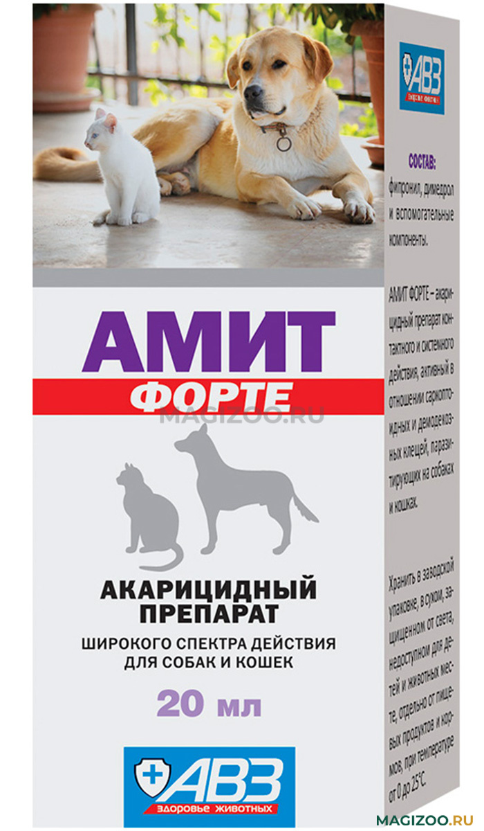 Осwал Амит