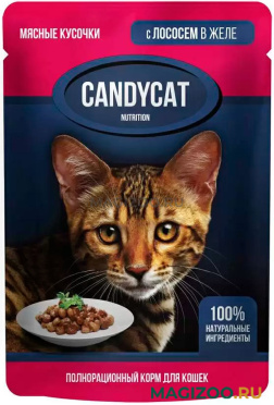 Влажный корм (консервы) CANDYCAT для взрослых кошек с лососем в желе пауч (85 гр)