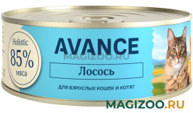 Влажный корм (консервы) AVANCE HOLISTIC для кошек и котят с лососем в соусе (100 гр) 