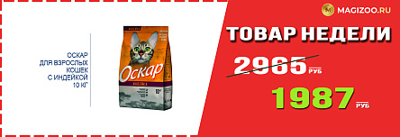 Сухой корм ОСКАР для кошек! Выгодная цена!