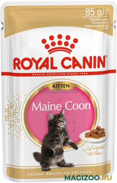 Влажный корм (консервы) ROYAL CANIN MAINE COON KITTEN для котят мэйн кун в соусе пауч (85 гр)