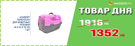 Переноска HOMEPET для кошек!