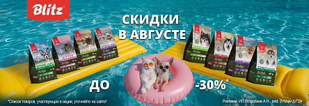 Рационы BLITZ со скидкой до 30%!