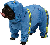 Тузик Комбинезон Французский бульдог спортивный теплый кобель в ассортименте (1 шт) 