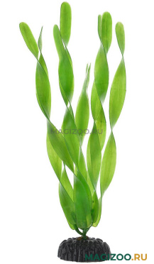 Растение для аквариума пластиковое Barbus Plant 005/20 Валиснерия широколистная 20 см (1 шт)