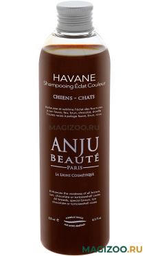 Шампунь Anju Beaute Havane концентрированный для рыжего, шоколадного и коричневого окраса шерсти собак и кошек 250 мл (1 шт)