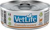 FARMINA VET LIFE FELINE CONVALESCENCE для взрослых кошек в период выздоровления (85 гр)