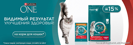 Рационы PURINA ONE со скидкой до 15%!