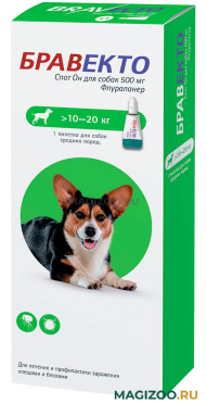 БРАВЕКТО СПОТ ОН капли для собак весом от 10 до 20 кг против клещей и блох (1 пипетка)
