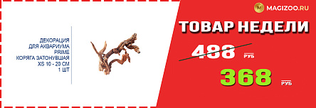 Декорация PRIME! Выгодная цена!