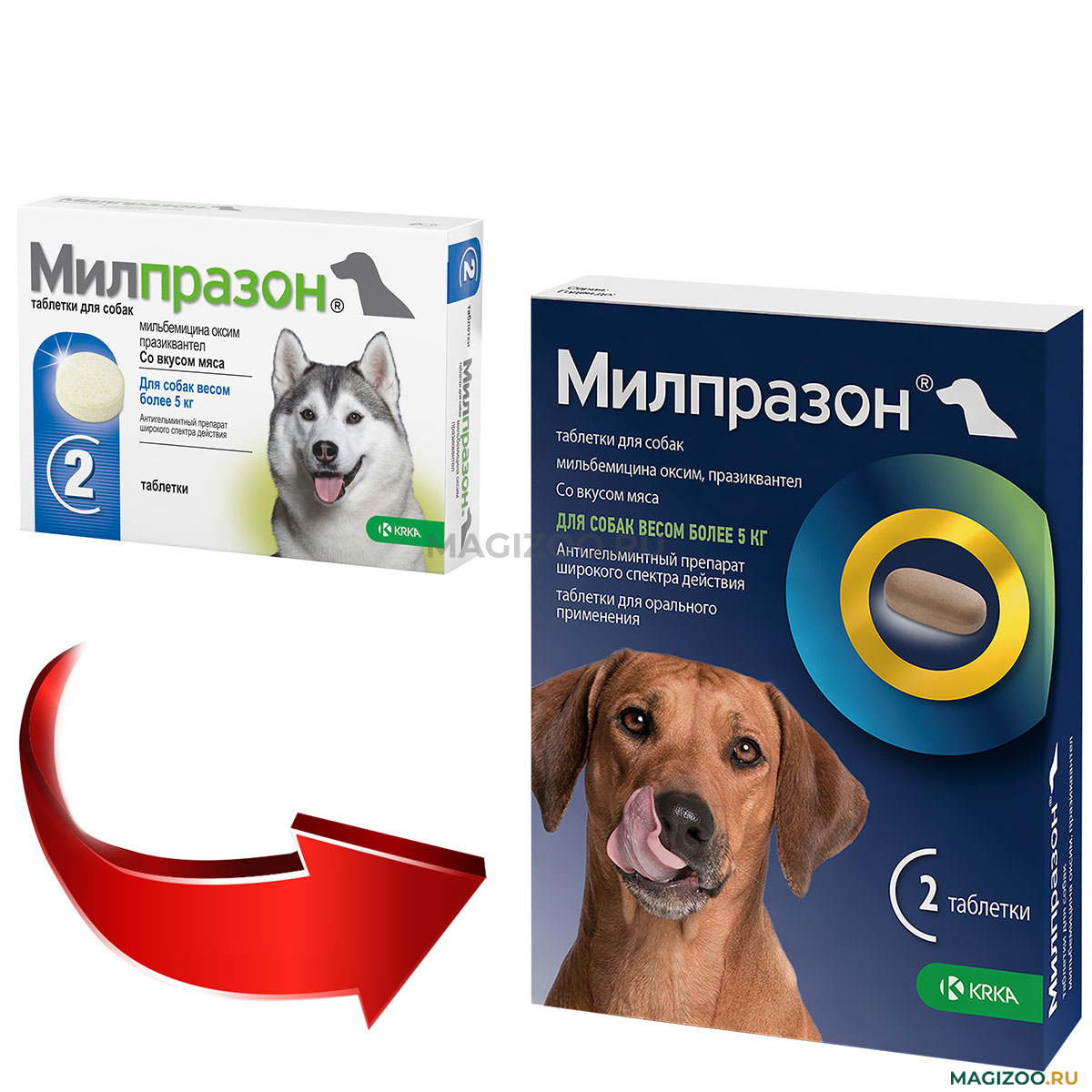 МИЛПРАЗОН антигельминтик для взрослых собак весом более 5 кг уп. 2 таблетки  (1 шт) купить в интернет-магазине по цене от 482 ₽, доставка по Москве