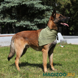 Косынка охлаждающая для собак Osso Fashion зеленая (XL)