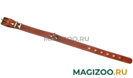 Ошейник для собак кожаный коньячный 40 - 54 см x 25 мм Аркон о25/1к (1 шт) 