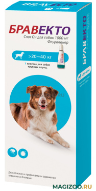 БРАВЕКТО СПОТ ОН капли для собак весом от 20 до 40 кг против клещей и блох (1 пипетка)