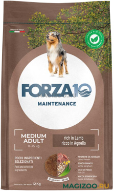 Сухой корм FORZA10 DOG MAINTENANCE ADULT MEDIUM для взрослых собак средних пород с ягненком и рисом (12 кг)